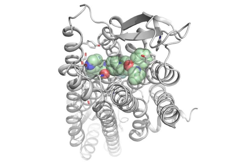 Tailor-made drugs to treat epilepsy or cardiovascular diseases