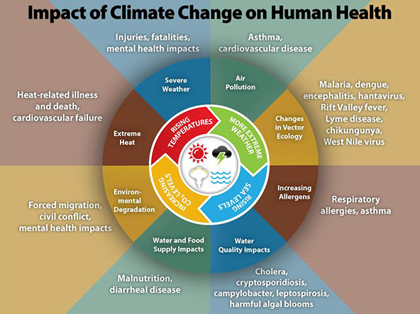 Infographic of the Week: Impact of Climate Change on Human Health