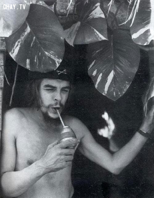 Che Guevara-Người du kích anh hùng đang thưởng thức nước uống của mình.,bức ảnh lịch sử,khoảnh khắc lịch sử