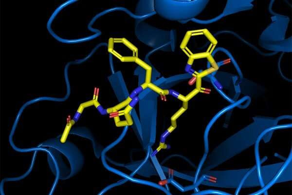 Antiviral compound blocks SARS-CoV-2 from entering cells