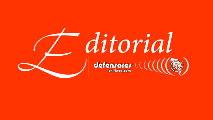 editorial