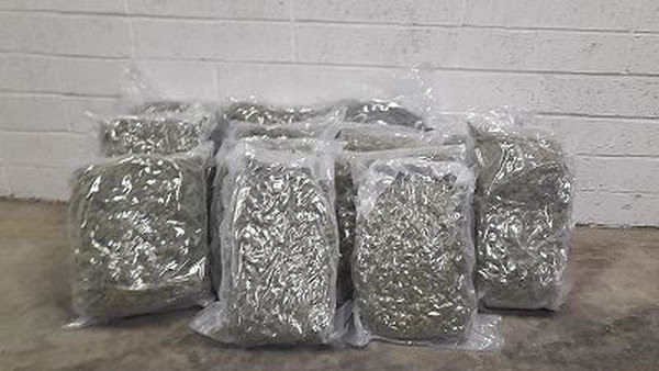 Revenue officers discovered 17kgs of herbal cannabis with an estimated value of €340,000 (Pic: Garda Press)