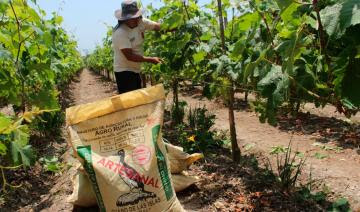 Arequipa necesita 52 mil toneladas de fertilizantes para salvar campaña agrícola