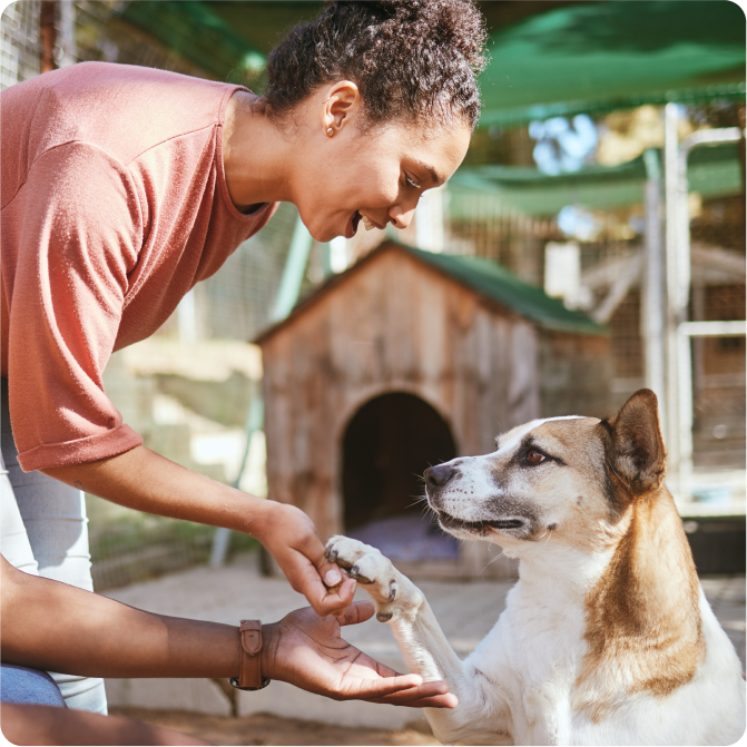 petting a dog