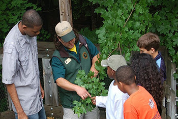 DNR staffer showing group of kids how to identify a tree