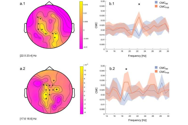 Scientists find mechanical stimulation could be used to prevent falls and strengthen muscles