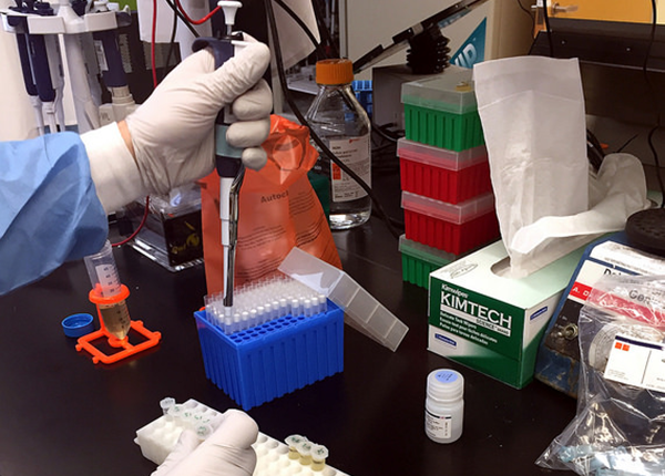 A Zika virus researcher at the NIAID Vaccine Research Center prepares samples. Credit: NIAID, via Flickr