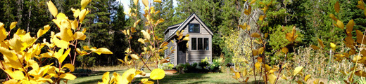 What Can We Learn from the Tiny House Phenomenon?