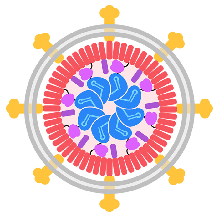 illustration of a engineered viruslike particle