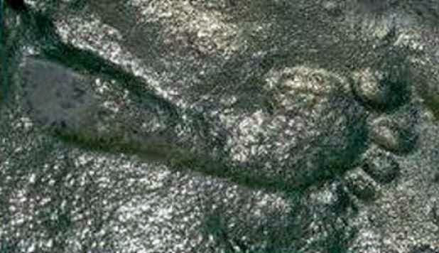 290 MILLION Year Old HUMAN FOOTPRINT Found in New Mexico. Now WHAT?