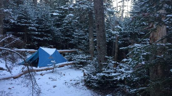 blue tent in snowy forest