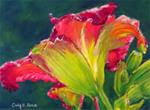 Daylily - Posted on Tuesday, March 10, 2015 by Cindy Gillett