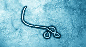 Ebola virus photo with the words "Join Us Online: Highly Pathogenic Infectious Disease Training Webinar"