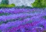 ORIGINAL PAINTING OF EVERGREEN LAVENDER FARM IN APPOMATTOX, VA. - Posted on Friday, February 27, 2015 by Sue Furrow