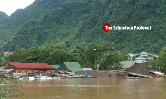 Floods kill 24 in Vietnam as Typhoon Sarika looms Vietnam-floods