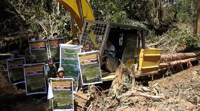 Denuncian deforestaciÃ³n para el cultivo de palma aceitera en el estado de Sarawak, Malasia