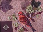 Red House Finch Collage - Posted on Friday, February 27, 2015 by Patricia Voelz