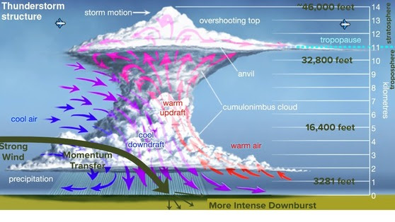 When a thunderstorm occurs when strong winds are present aloft, the winds aloft are brought to the surface by thunderstorm downdrafts.