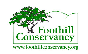 FC website link FC website link
