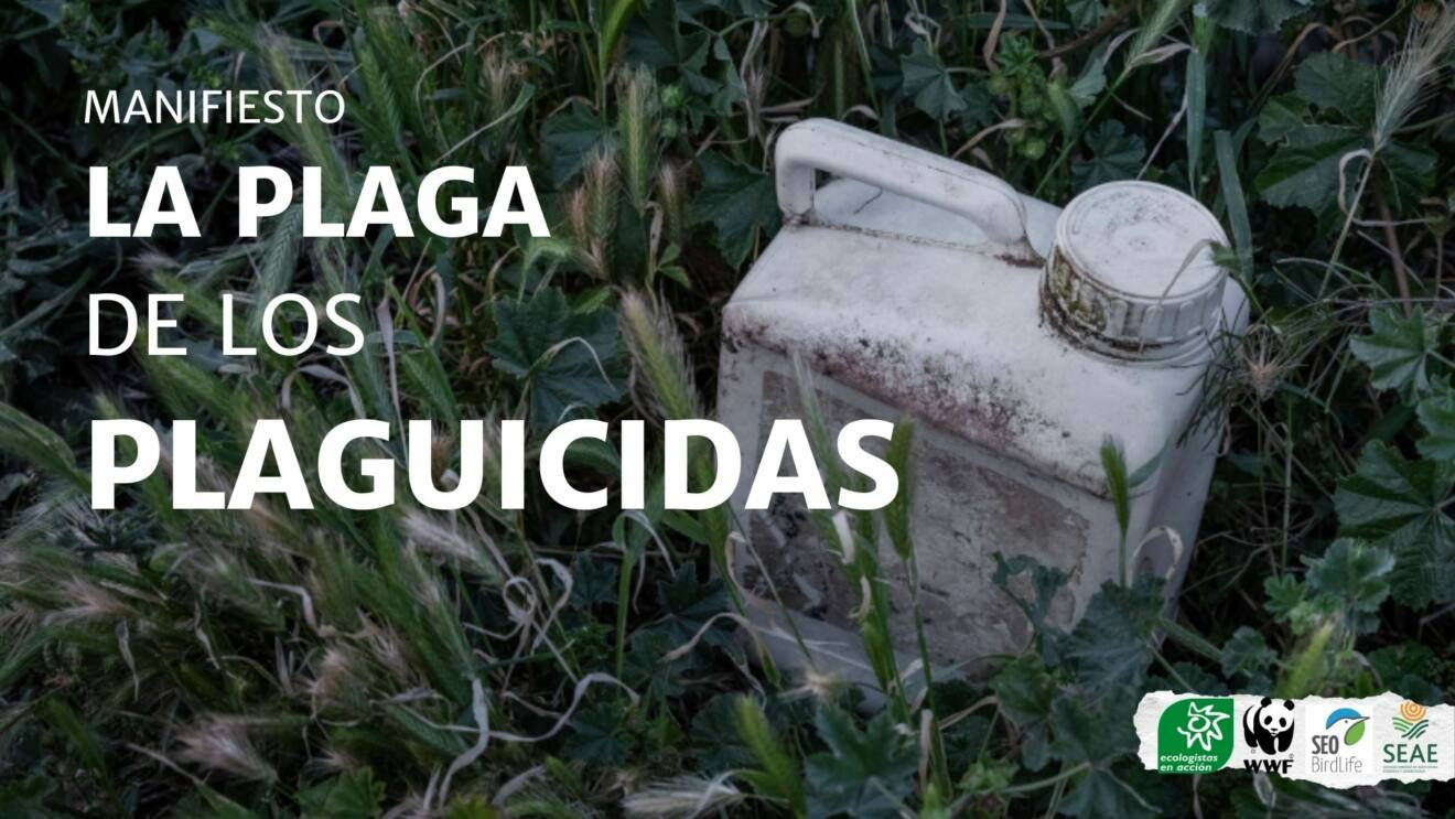 [Manifiesto] La plaga de los plaguicidas