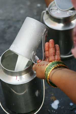 Milk in India, facts about india