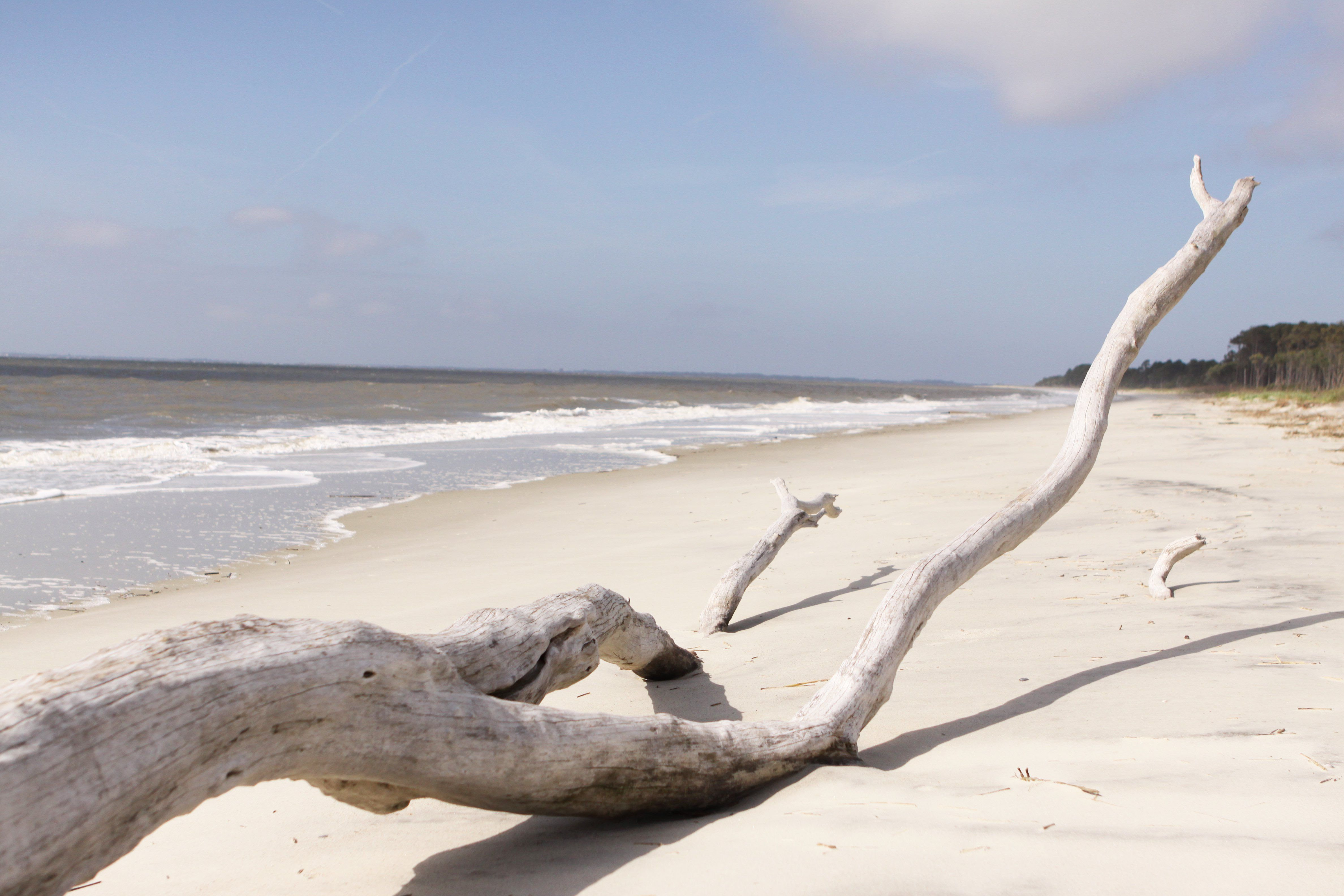 Getting in Touch with Nature on Daufuskie Island South carolina