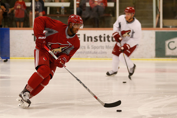 Anthony+Duclair+Arizona+Coyotes+Prospect+Camp+dEfKQZsvngJl