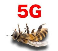 5G Kill Bees Now, Will Sterilize Entire USA for Chinese and Eric Shcmidt!