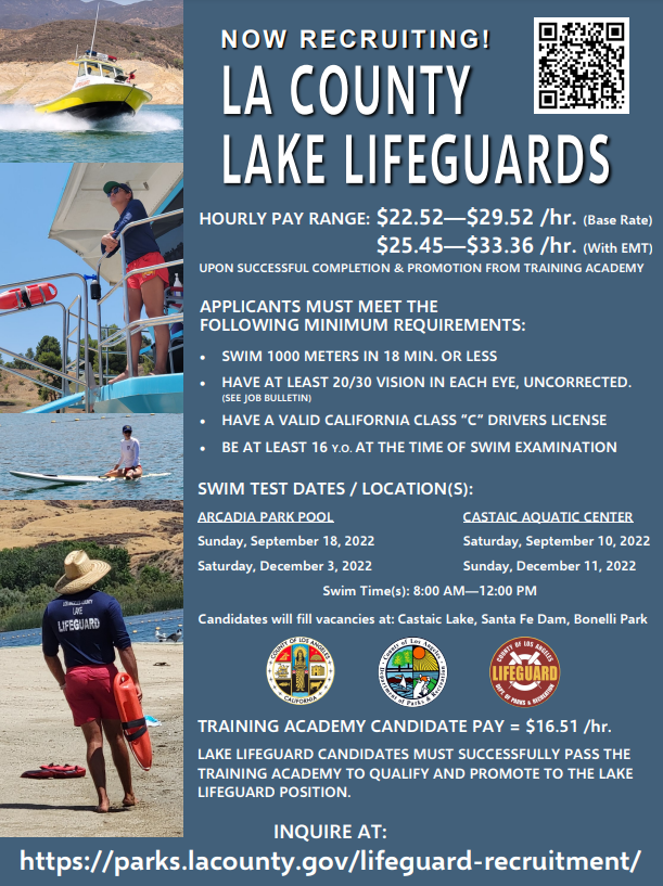Lake LG Recruitment FLyer