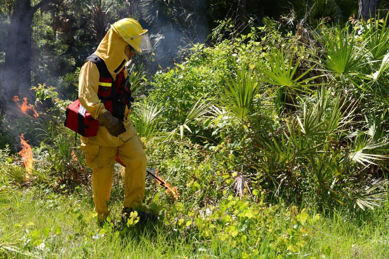 Fwc Uses Prescribed Fire As Best Management Tool For Maintaining Wildlife Habitat January 4