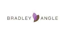 Bradley Angle logo