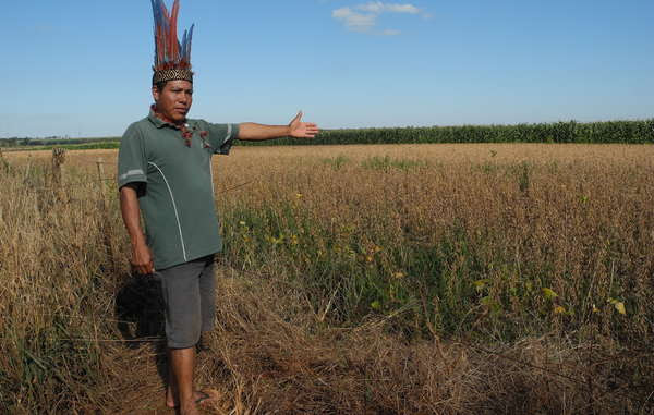 Anti-indigenous politicians are promoting the theft of tribal peoples&apos; land. Almost all of the Guarani Indians&apos; forest has been stolen and destroyed to make way for large-scale plantations.