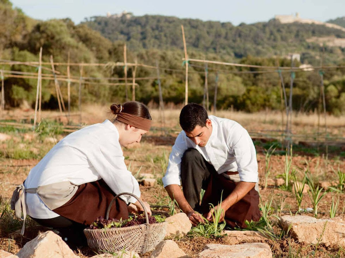 Foto: El equipo de cocina de Predi Son Jaumell recogiendo las hortalizas de su huerto privado con las que elaboran sus recetas.