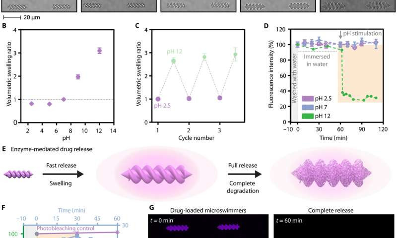 Personalized 3-D magnetic micromachines from patient blood-derived biomaterials