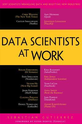 Data Scientists at Work EPUB