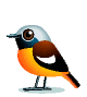 animated-bird-image-0048