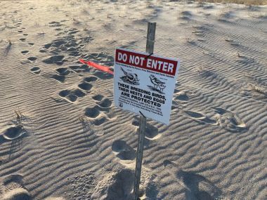 Do not enter sign on the beach