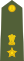 Lieutenant Colonel of the Indian Army.svg
