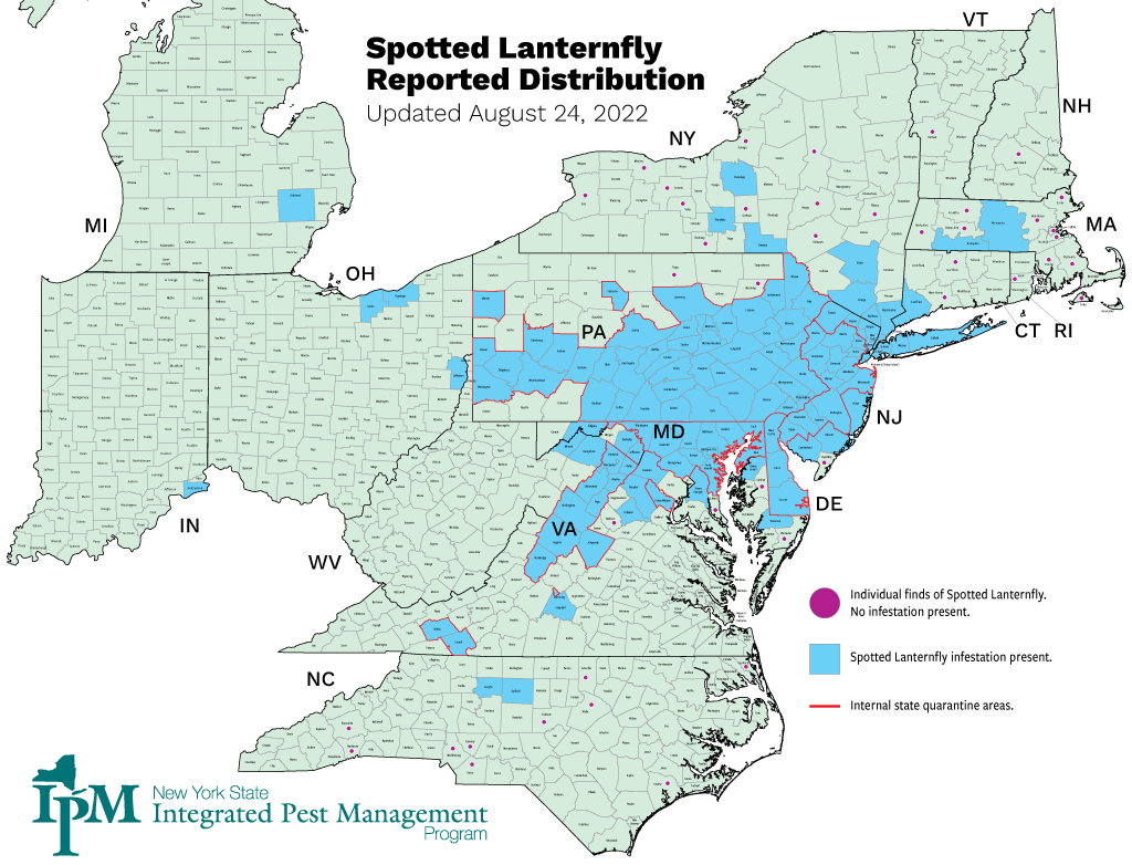 Map of spotted lanternfly
