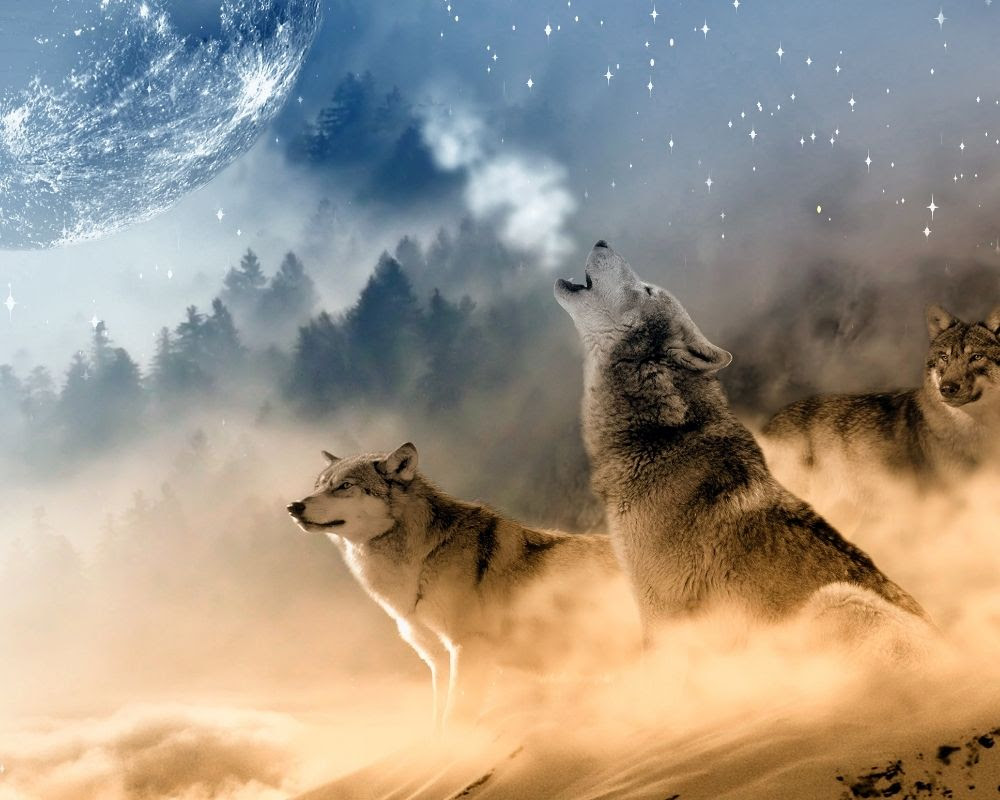 The Wolf Symbolism For Twin Flames