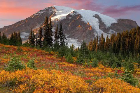 Fallin-Paradise-Mount-Rainier-National-P