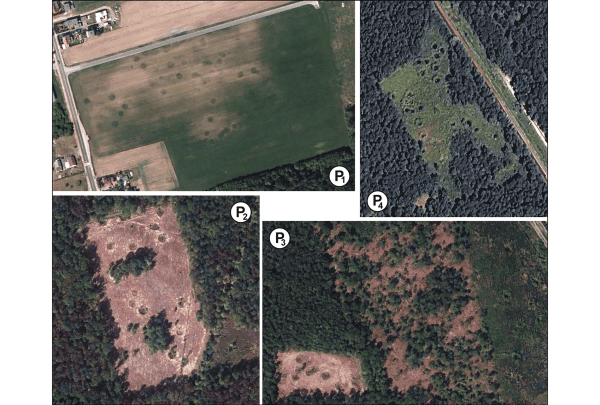 Zonas de bombardeo (ortofotomapas: polska.e-mapa.net): P1) campo de cultivo; P2) nueva masa forestal; P3) nueva masa forestal (izquierda), páramo (centro), bosque de segundo crecimiento (derecha); P4) bosque de segundo crecimiento y pradera (preparado por Jan Maciej Waga). Cortesía Cambridge.org