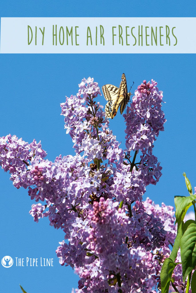 Spring Has Sprung! Here’s 3 DIY Home Air Fresheners