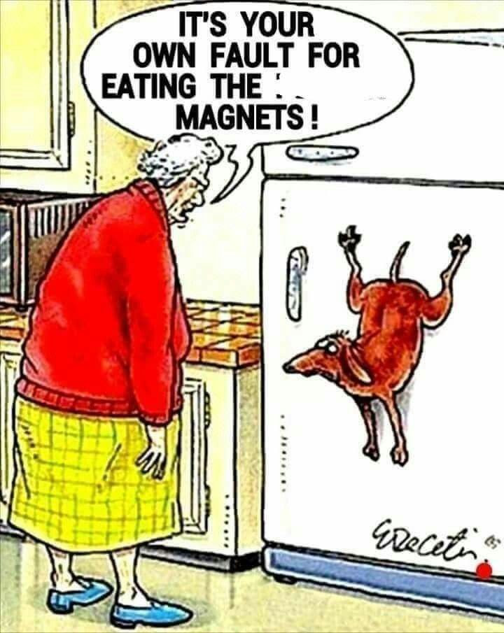 Image result for senior jokes and cartoons
