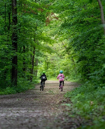 Two young children, dressed in fall clothing and jackets and bike helmets, ride bikes away down a paved path, line by lush green trees