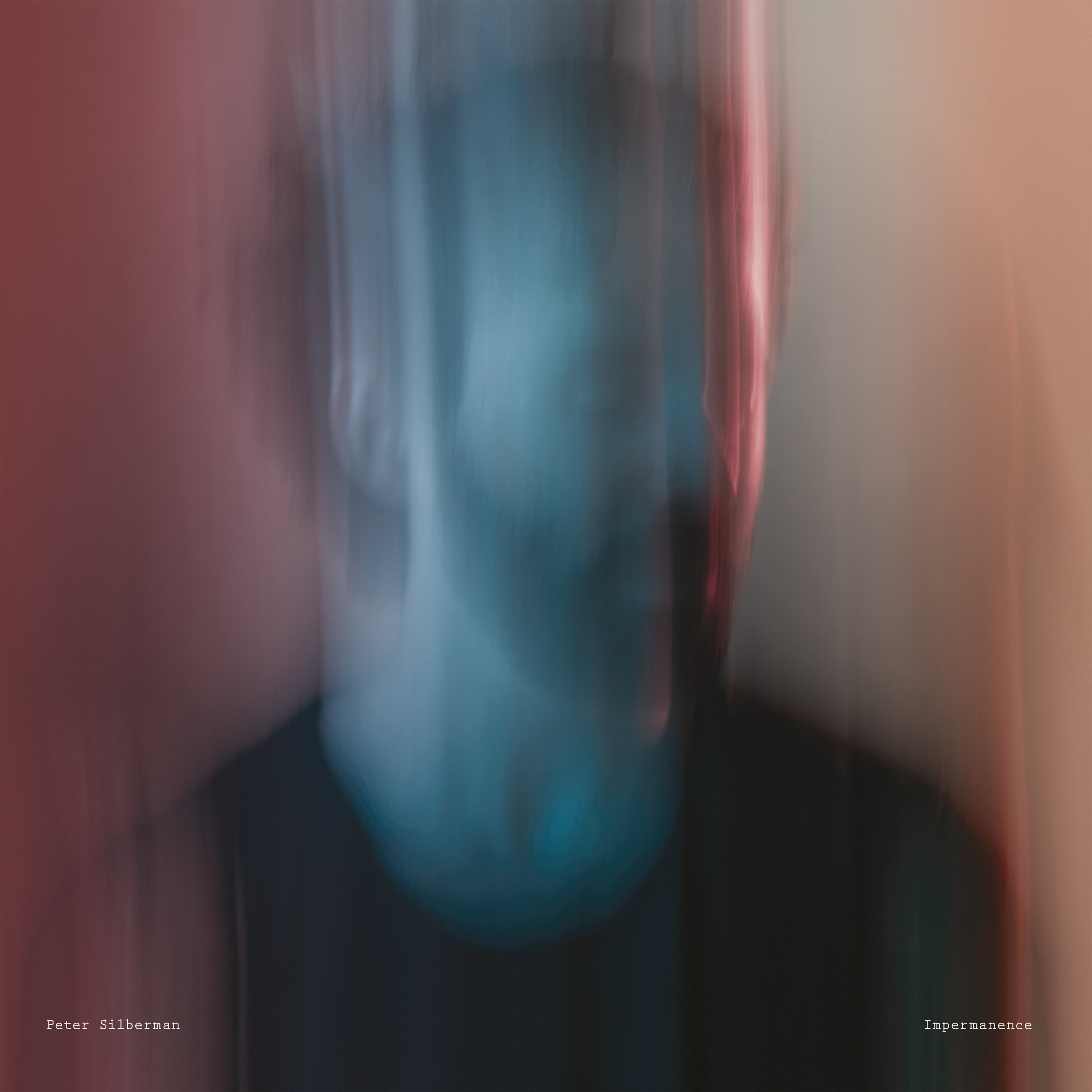 Peter Silberman - Impermanence Peter Silberman - Impermanence