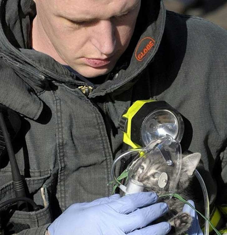 faith-humanity-restored-kind-people-23__605
