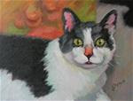 Casey the Cat - Posted on Wednesday, November 26, 2014 by jean grenier