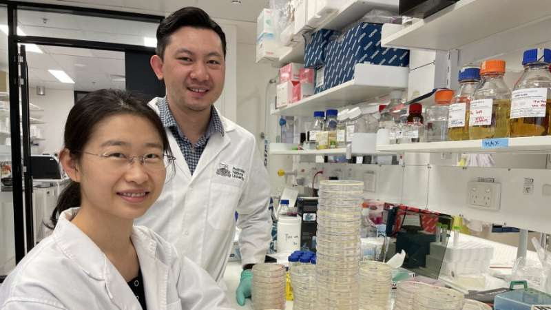 Bacteria busting proteins offer potential for smarter drugs