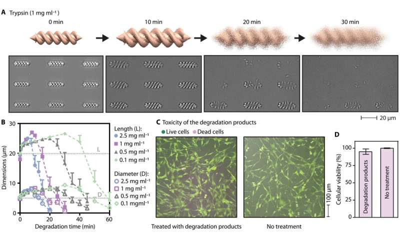 Personalized 3-D magnetic micromachines from patient blood-derived biomaterials